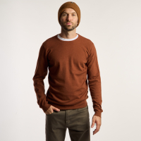 SWEATER BRASS 