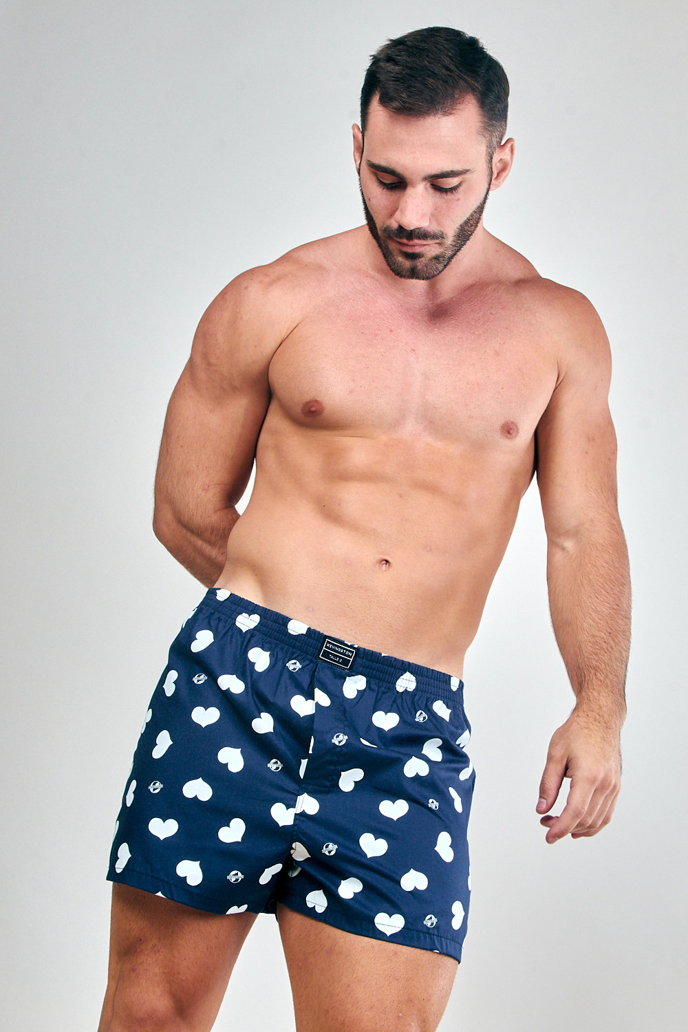 BOXER KEVINGSTON BOXER KEVINGSTON