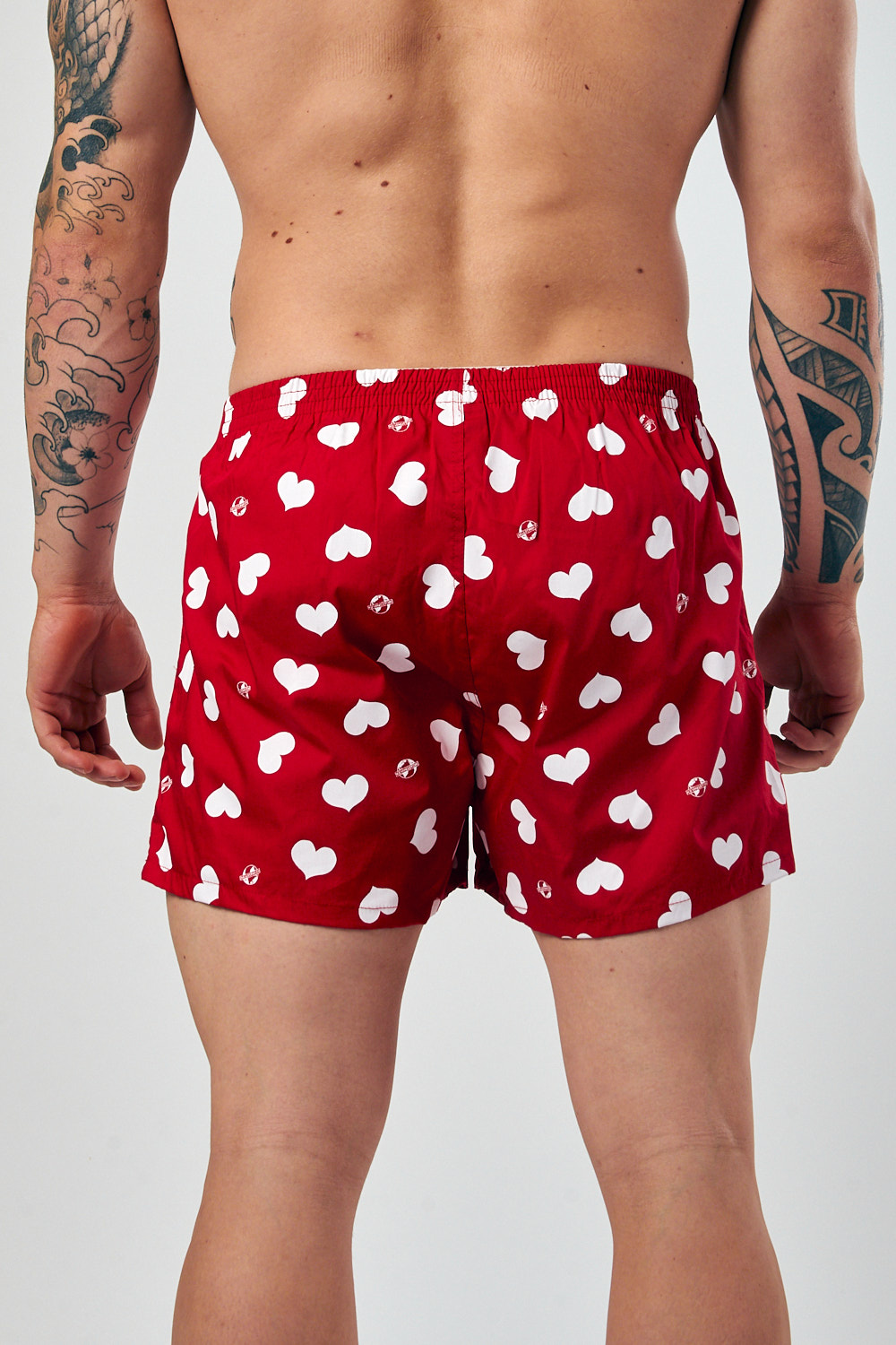BOXER KEVINGSTON BOXER KEVINGSTON
