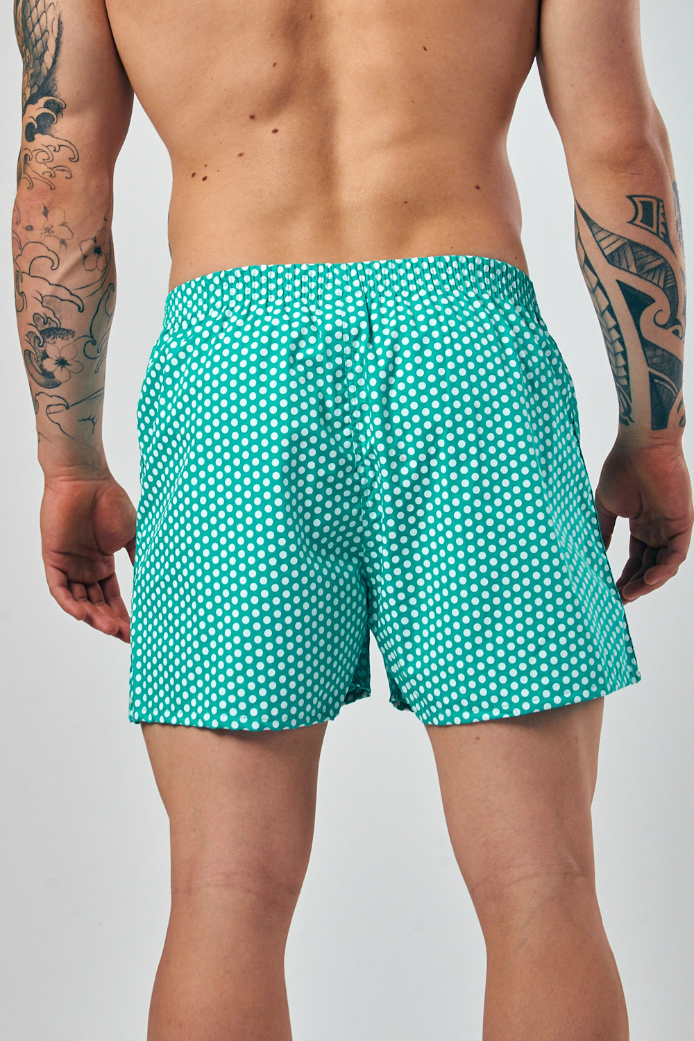 BOXER KEVINGSTON BOXER KEVINGSTON