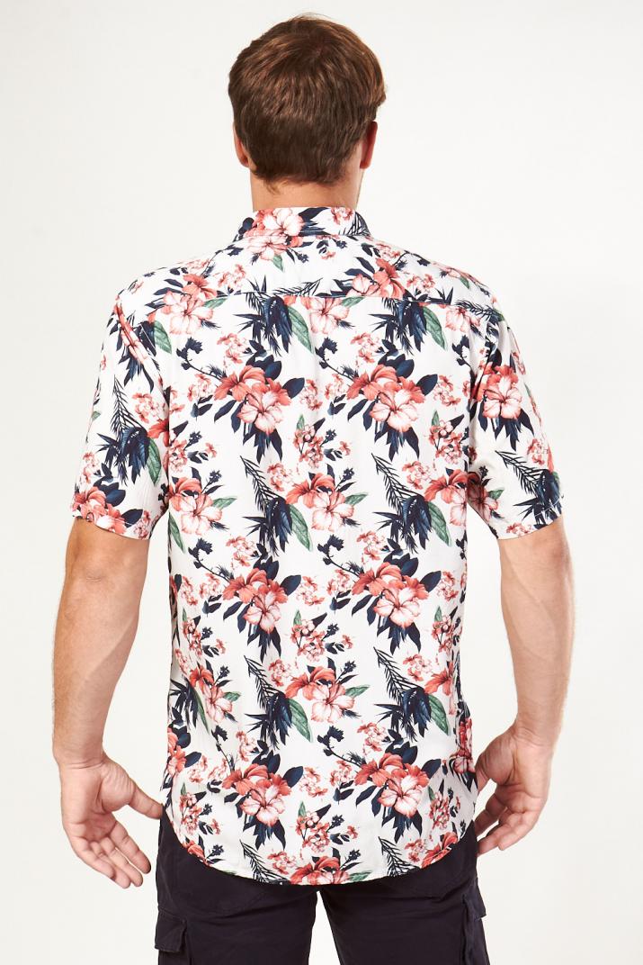 camisas kevingston