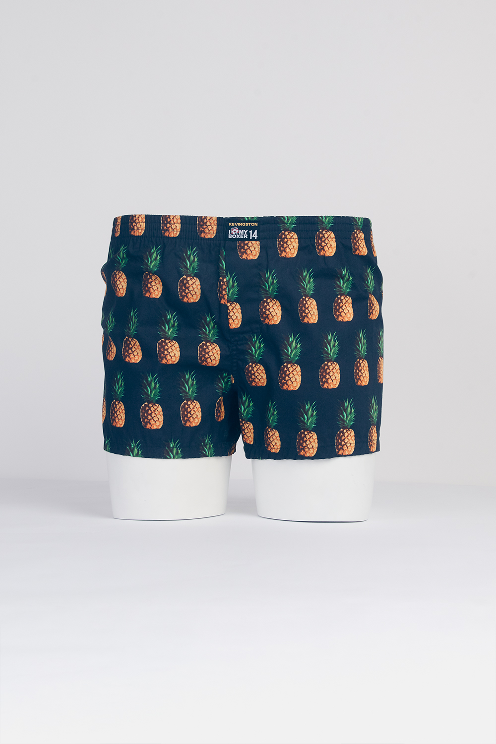 BOXER KEVINGSTON CHICOS BOXER KEVINGSTON CHICOS