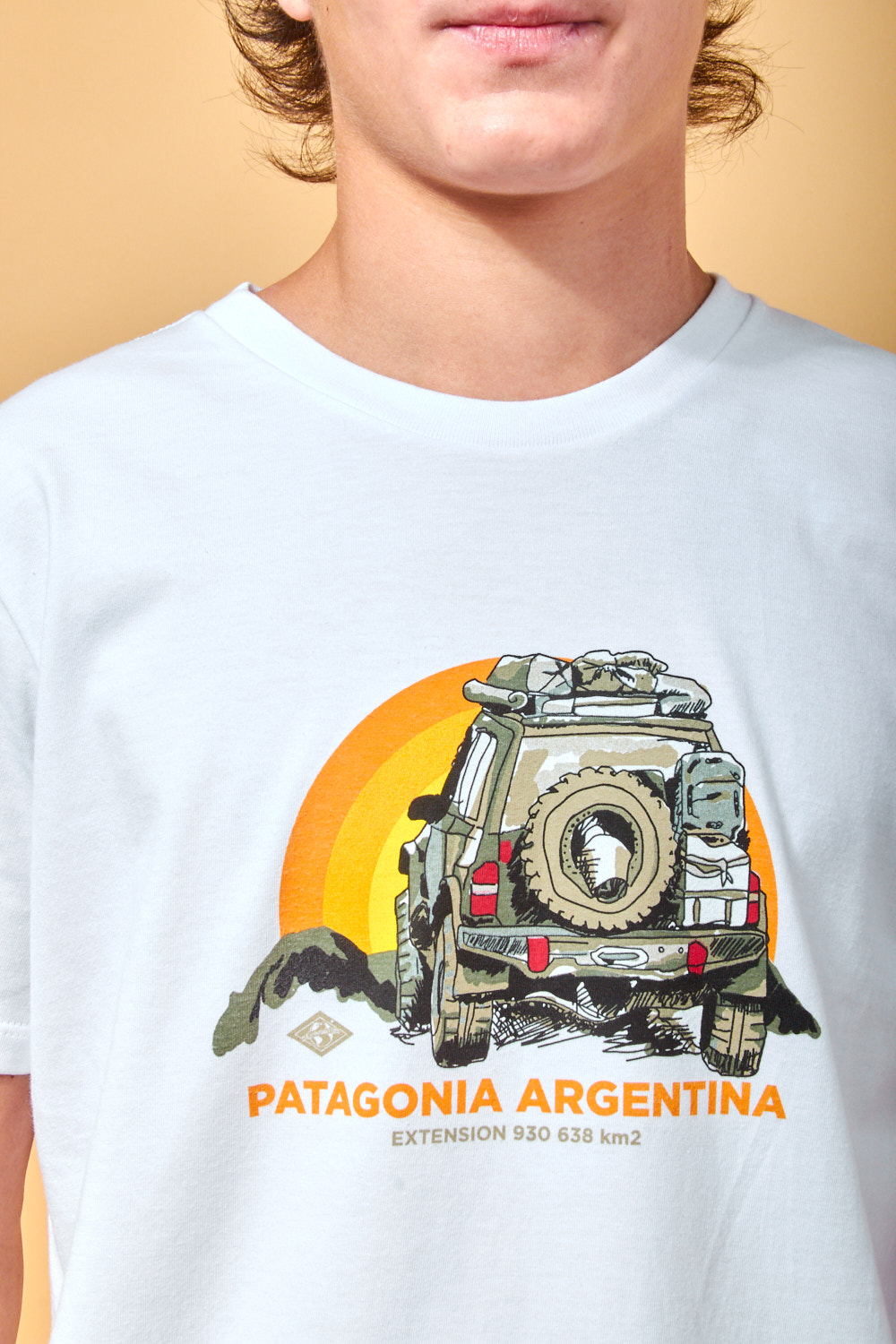 REMERA ESTAMPADA REMERA ESTAMPADA