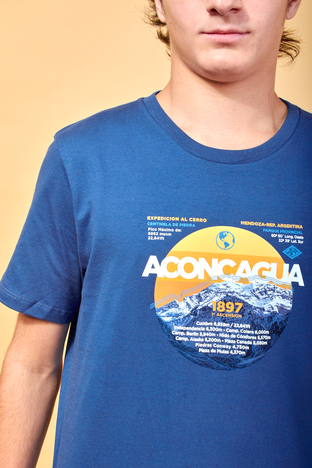 REMERA ESTAMPADA REMERA ESTAMPADA