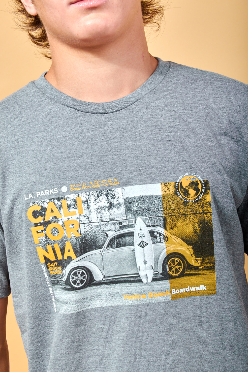 REMERA ESTAMPADA REMERA ESTAMPADA