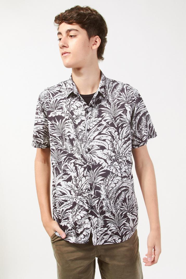 camisas kevingston