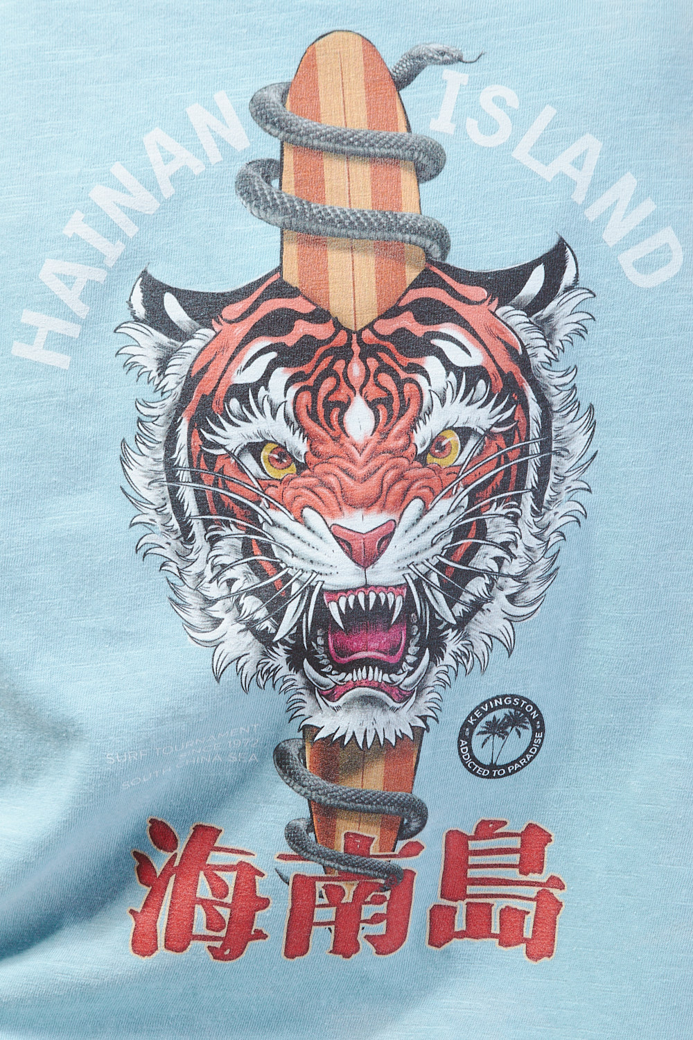 REMERA FLAME II WASHED REMERA FLAME II WASHED